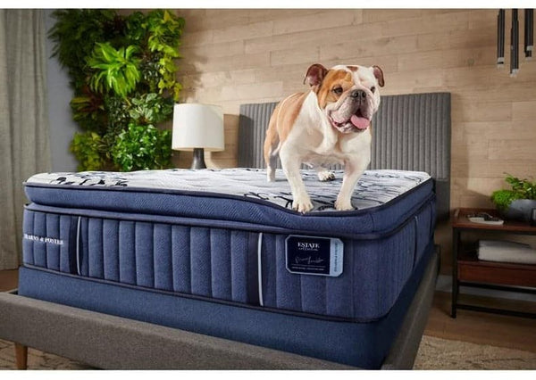 Hurston Stearns And Foster Plush Euro Pillowtop Memory Foam