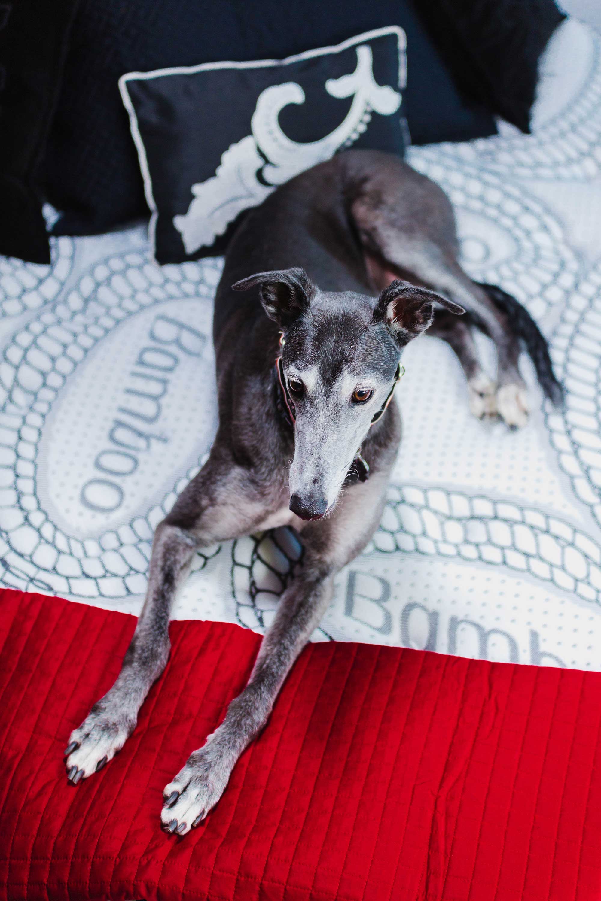 3/4 Super Single Bonavista - 11.5" Thick Pocket Coil Pillowtop with Memory foam Three Quarter Size - DirectBed | Mattress Stores Hamilton, Niagara Falls, St Catharines, Stoney Creek, Burlington, Oakville, Ancaster