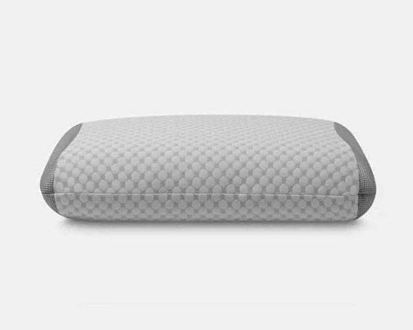 Charcoal pillow bed 2024 bath and beyond