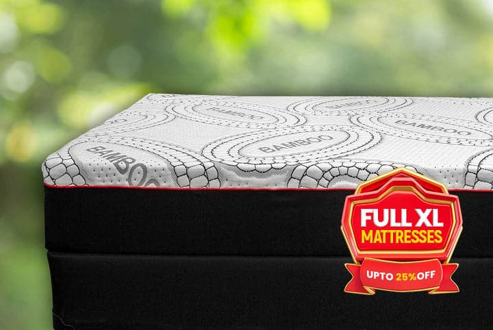 Full XL / Double XL - Louise Suite 10.5