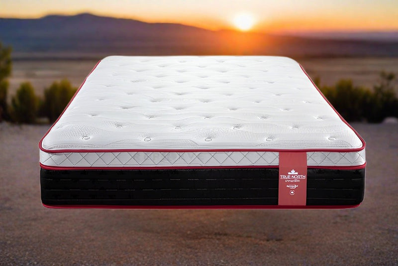 Twin Springwall Chiropractic Pelee 13