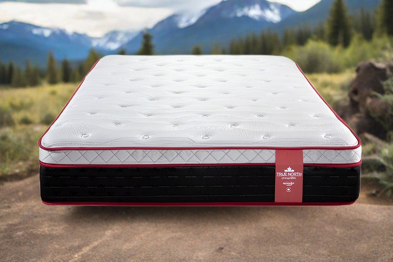 RV Short Queen Chiropractic Pelee 13