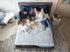 Serta® Arctic Plush Foam 13.5" Mattress with 15X Cooling Reactex Foam