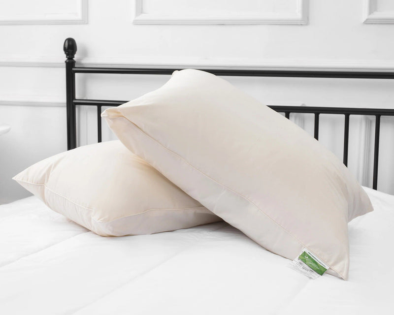 FREE Certified Organic Pillow ($79 Value)