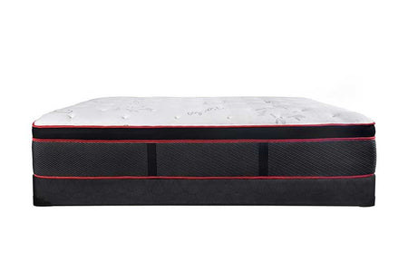 King Cambridge Suite - 14" Luxury Firm & Plush High Coil Pillowtop Mattress - DirectBed