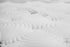 Double Royal Suite 16" Thick Nano Coil Pillow top with layer on layer technology - DirectBed | Mattress Stores Hamilton, Niagara Falls, St Catharines, Stoney Creek, Burlington, Oakville, Ancaster