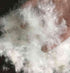 Summit Pillow with Feather Surround (1 Pillow) - DirectBed