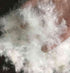 Brome Hutterite Down Duvet - DirectBed