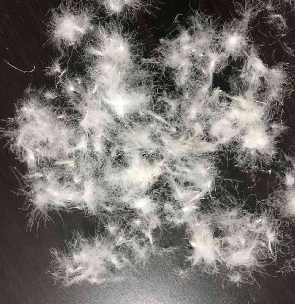 Brome Hutterite Down Duvet - DirectBed