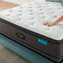 Beautyrest 14.5" Harmony Maui Series Plush Pillow Top Mattress - DirectBed | Mattress Stores Hamilton, Niagara Falls, St Catharines, Stoney Creek, Burlington, Oakville, Ancaster