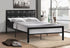 Black Padded Headboard Metal Bed - DirectBed