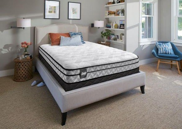 Sealy 9" Essentials Boxwood Foam Firm Euro Top Mattress Mattress - DirectBed