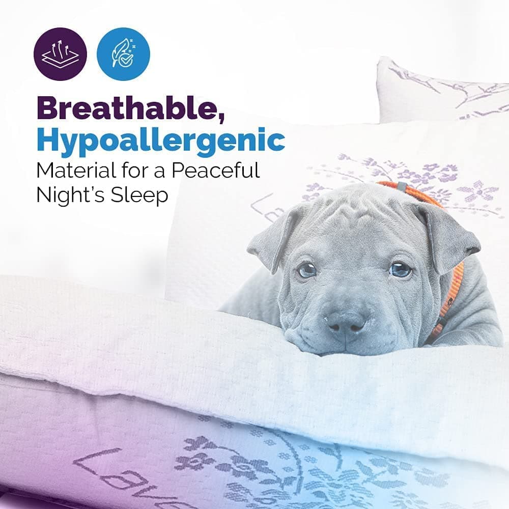 King, Queen or Standard Bamboo Pillow Lavender Infused, Cooling Pillow Soft Pillow for Restful Sleep. Back or Side Sleeper, Premium Pillow. - DirectBed | Mattress Stores Hamilton, Niagara Falls, St Catharines, Stoney Creek, Burlington, Oakville, Ancaster