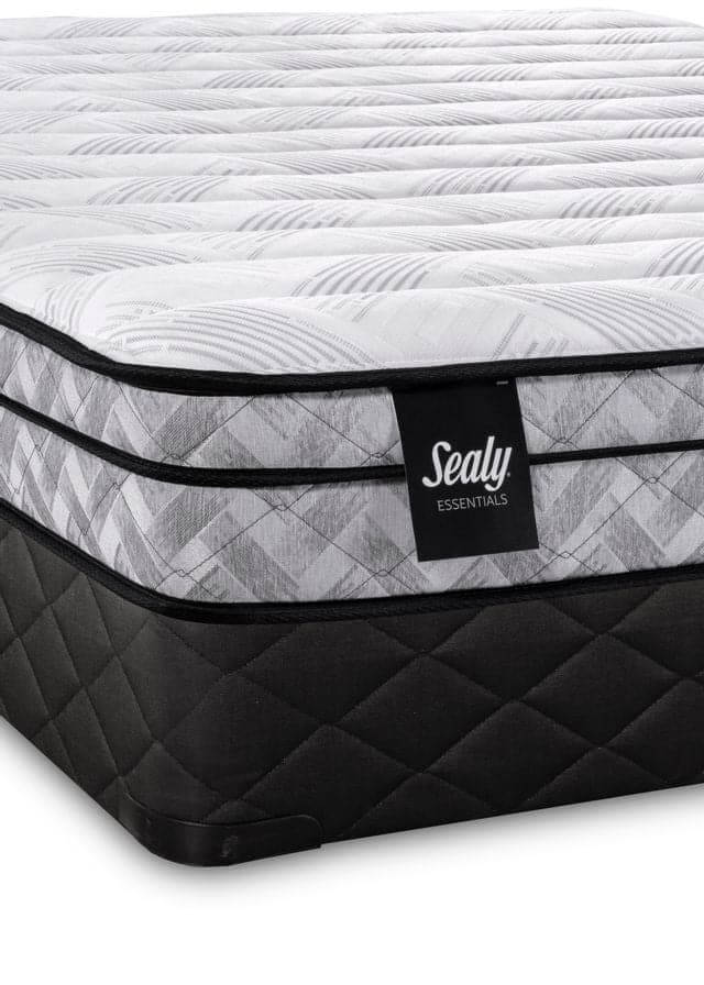 Sealy 9" Essentials Boxwood Foam Firm Euro Top Mattress Mattress - DirectBed