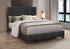 Black PU Bed with Contrast Stitching Queen Bed - DirectBed