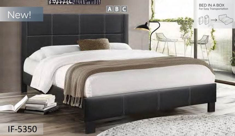 Black PU Bed with Contrast