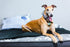 Quantum Suite Hybrid Boxtop Mattress - DirectBed | Mattress Stores Hamilton, Niagara Falls, St Catharines, Stoney Creek, Burlington, Oakville, Ancaster