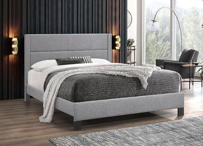 Light Grey Fabric Bed with Contrast Queen Bed - DirectBed