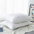 Summit Pillow with Feather Surround (1 Pillow) - DirectBed