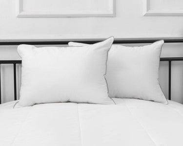 Silverclear Hotel Standard Pillow - DirectBed