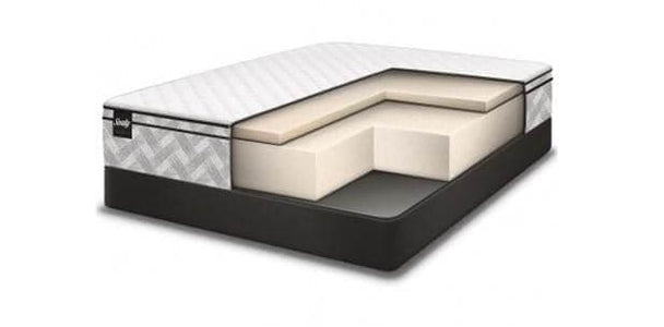 Twin Extra Long Sealy - Essentials - Boxwood 9.5" Eurotop Mattress Foam Firm - DirectBed | Mattress Stores Hamilton, Niagara Falls, St Catharines, Stoney Creek, Burlington, Oakville, Ancaster