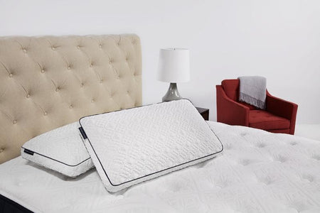 Stearn & Foster® 5.75" Latex Queen Pillow - DirectBed | Mattress Stores Hamilton, Niagara Falls, St Catharines, Stoney Creek, Burlington, Oakville, Ancaster