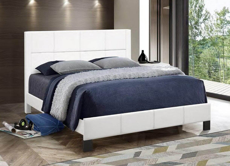 White PU Bed with Contrast
