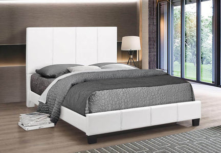White PU Bed with Contrast Stitching Queen Bed - DirectBed