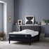 Double TEMPUR-Pedic® Pro Align Medium Tempurpedic Mattress - DirectBed | Mattress Stores Hamilton, Niagara Falls, St Catharines, Stoney Creek, Burlington, Oakville, Ancaster